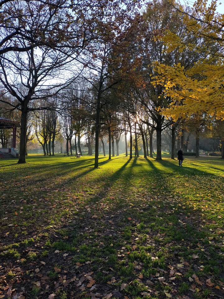 couleurs d'automne