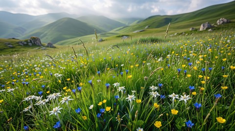 sfondi green, blue
