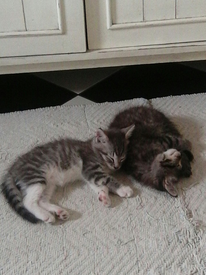 so cute and cuddly!!!
