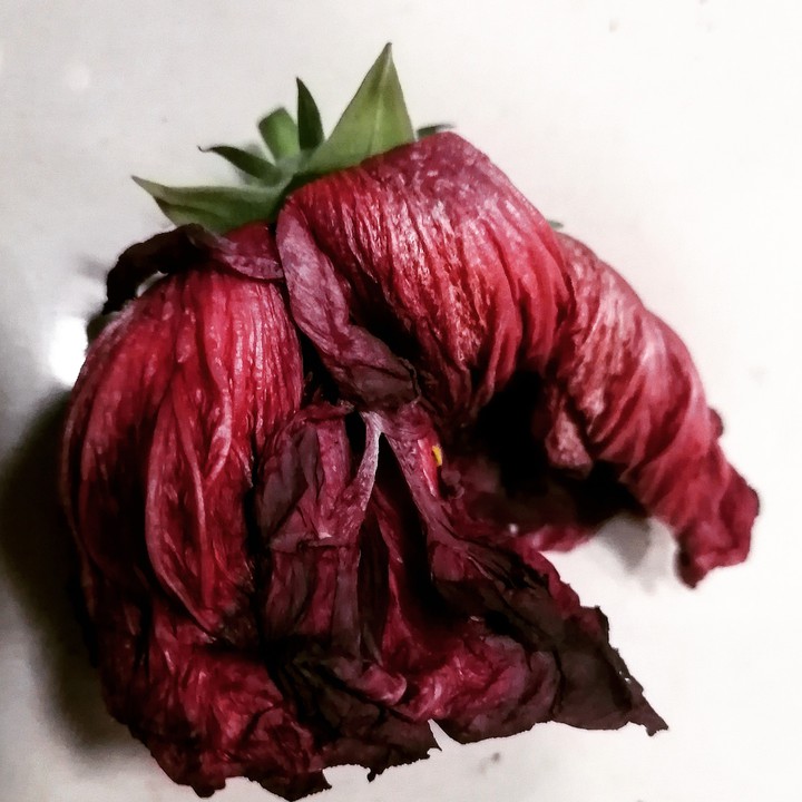 Роза