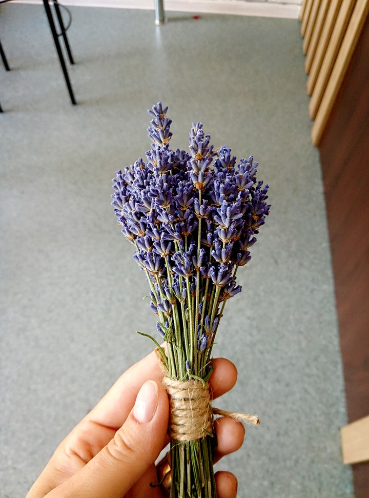 lavender