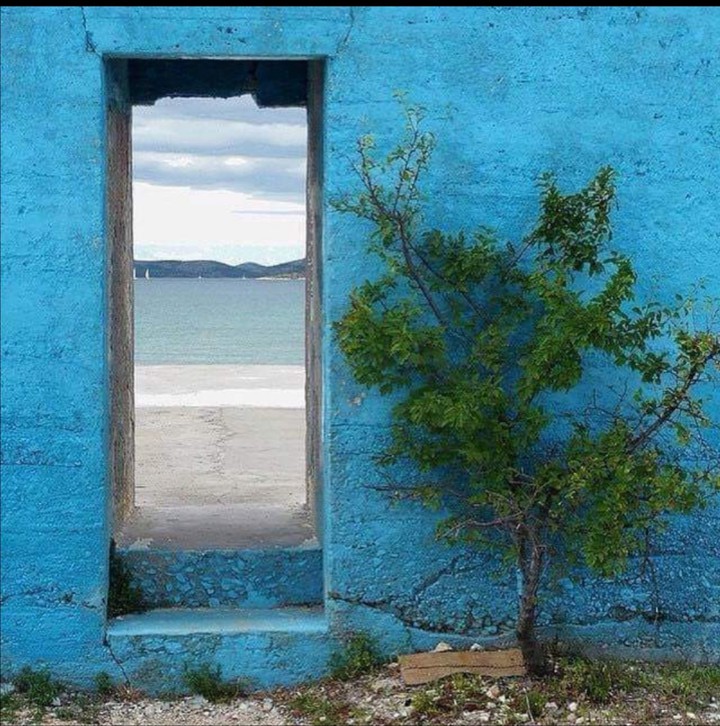 The Door