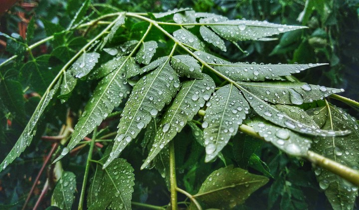 Rainy Day