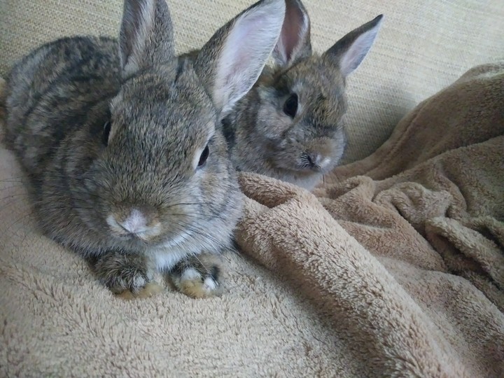 My Babies