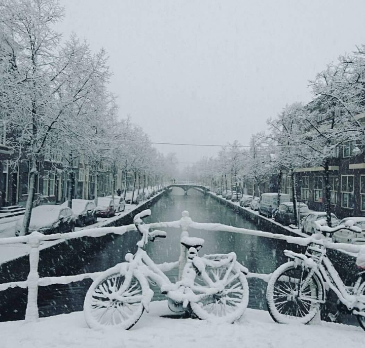 snow day