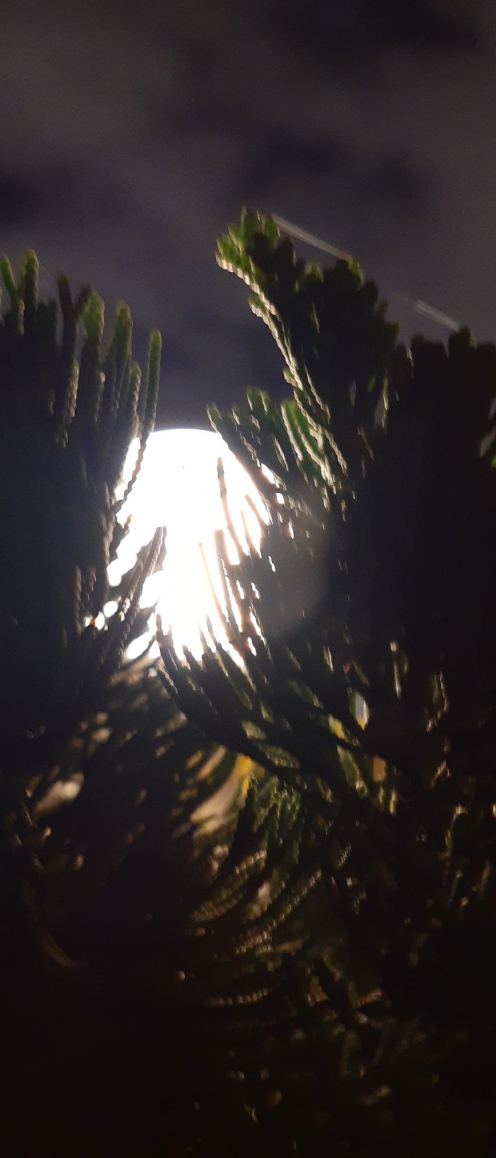 False moon