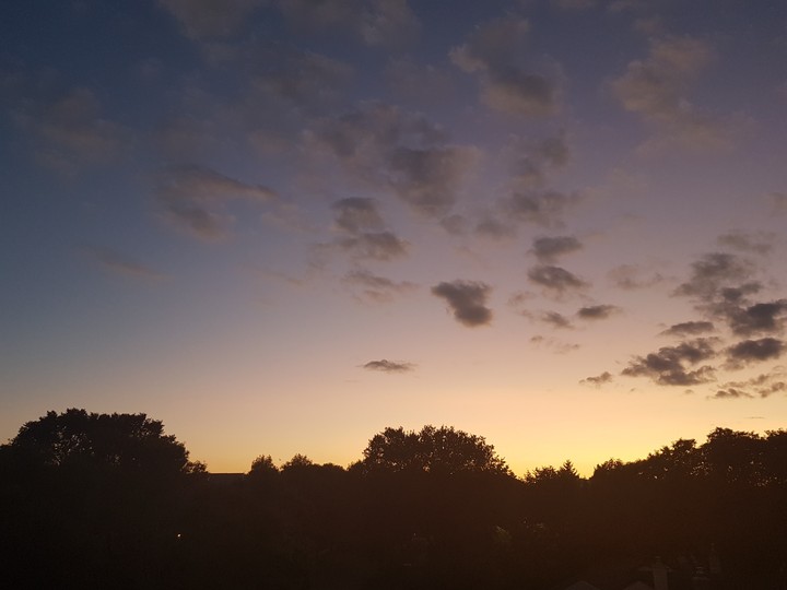 No Filter Needed