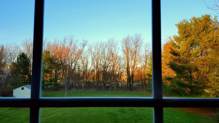 Outside my window