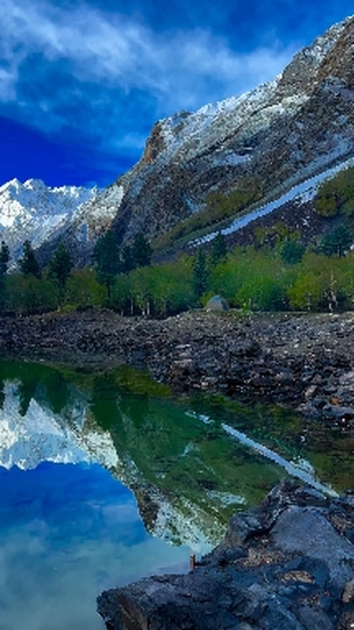 NATURE