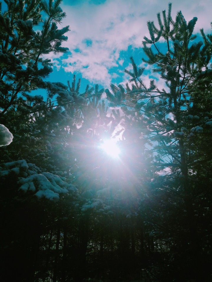 ❄️Winter❄️