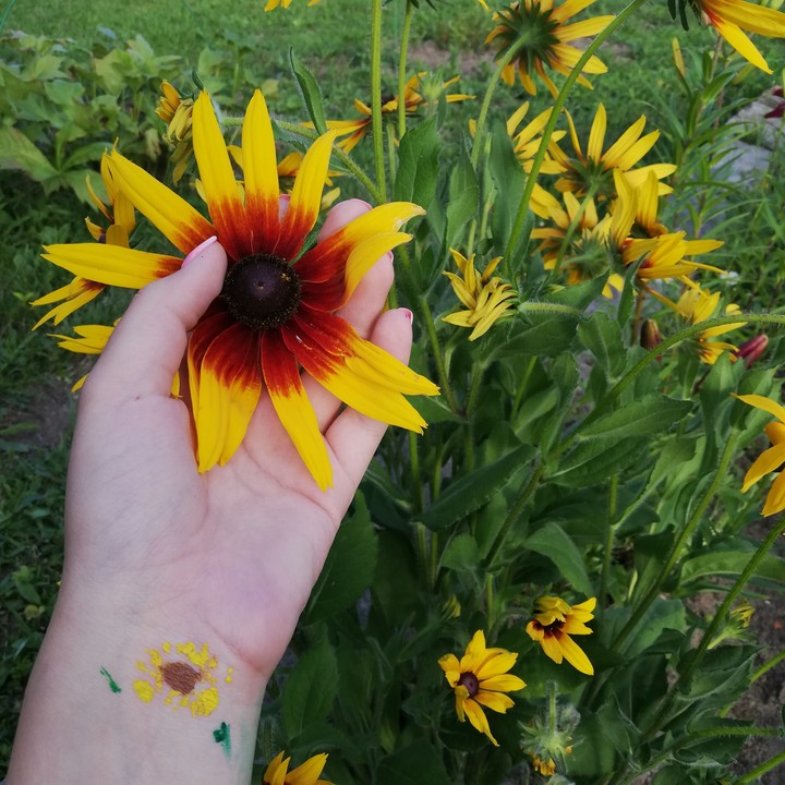 nature