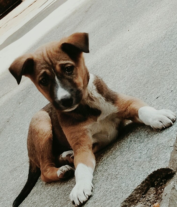 Sense of Innocence