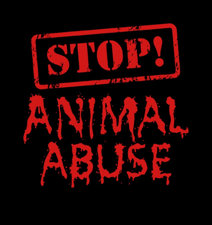 Stop animal abuse