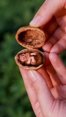 cute baby