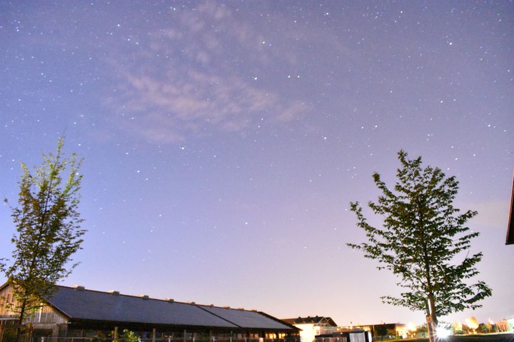 stars above the field