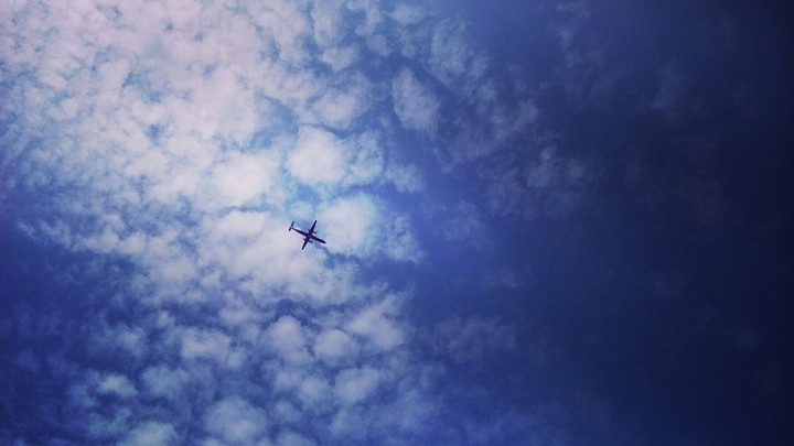 Come fly with me 