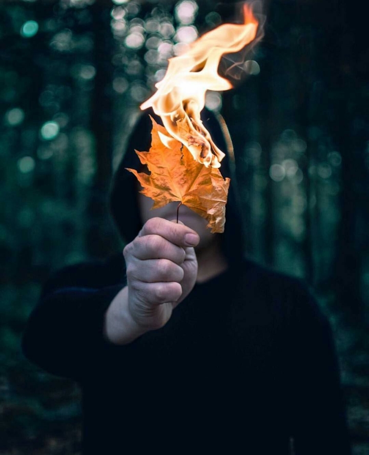 leaflet Fire