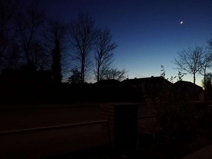 Evening