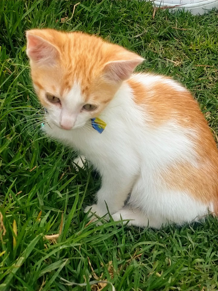 Luna