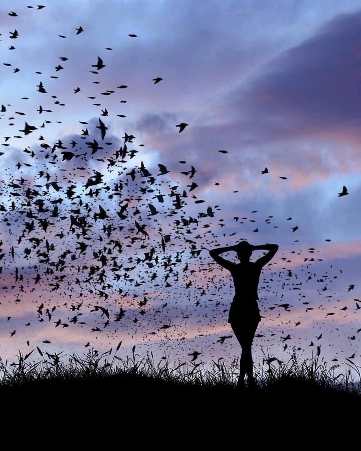Freedom