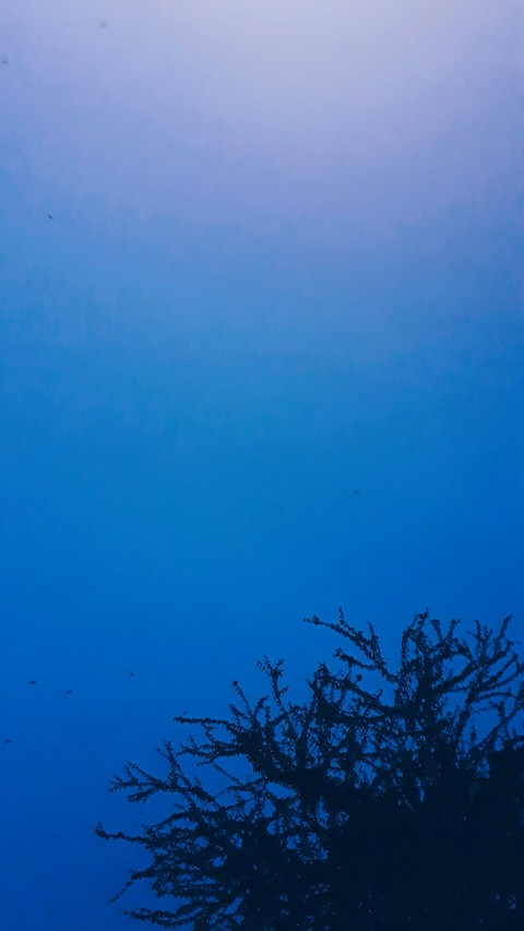 evening sky