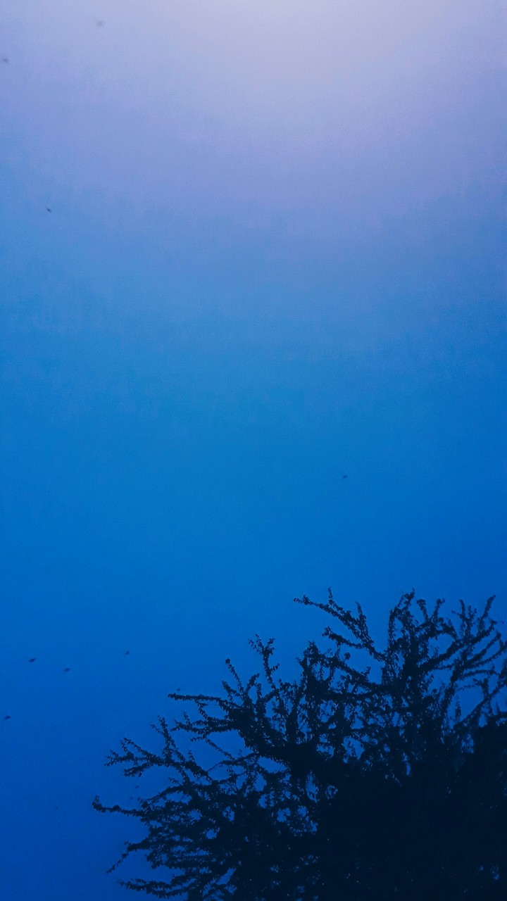 evening sky