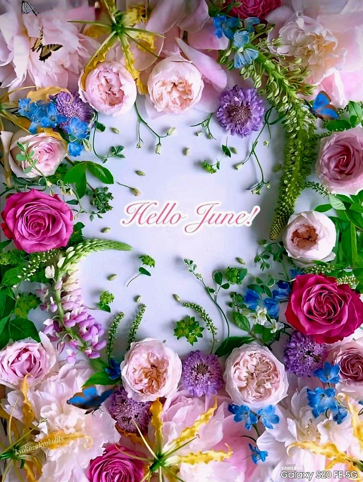 Y❤️   Hello June