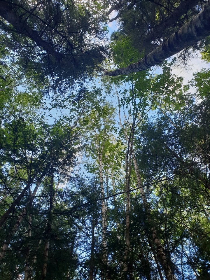 a look in the sky