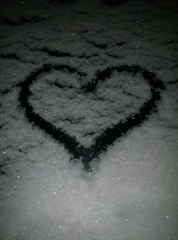 The heart