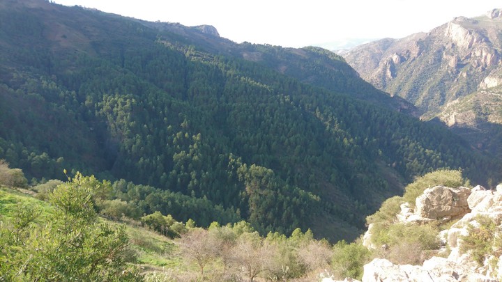 beni Ourtilan