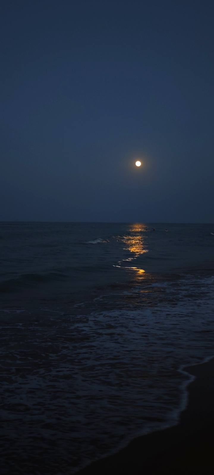 hình nền ocean, sea