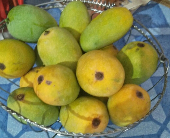 My garden mangoes ❤❤