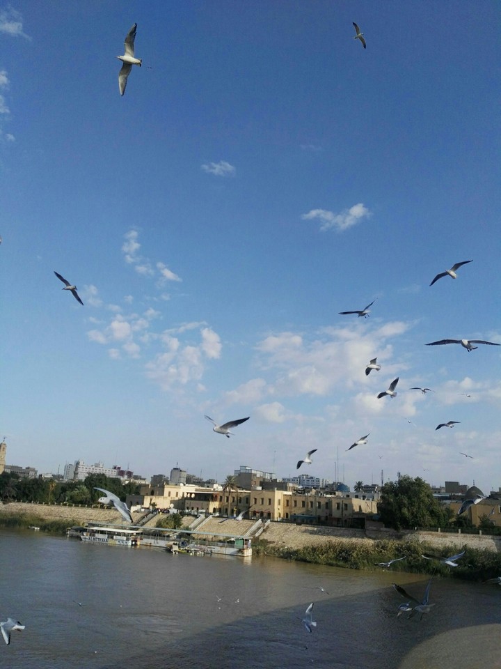 tigres river
