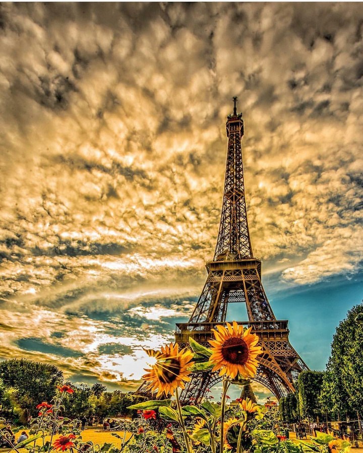 paris ifel
