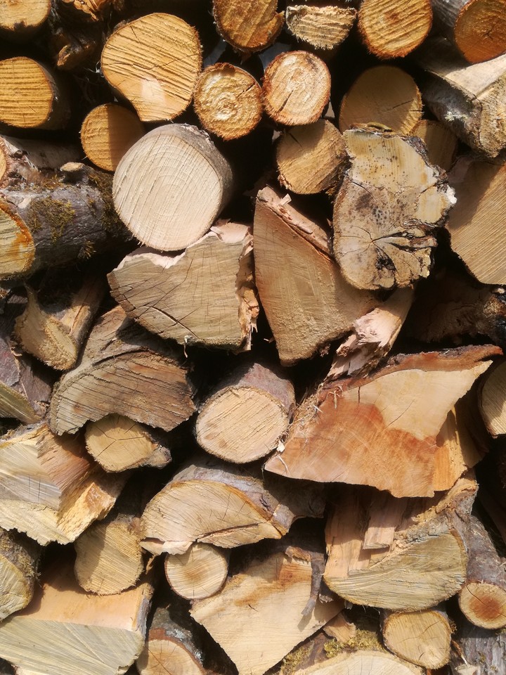 HOLZ