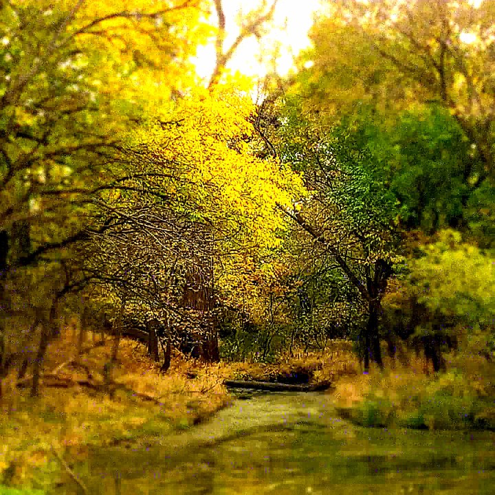 Autumn season in full swing