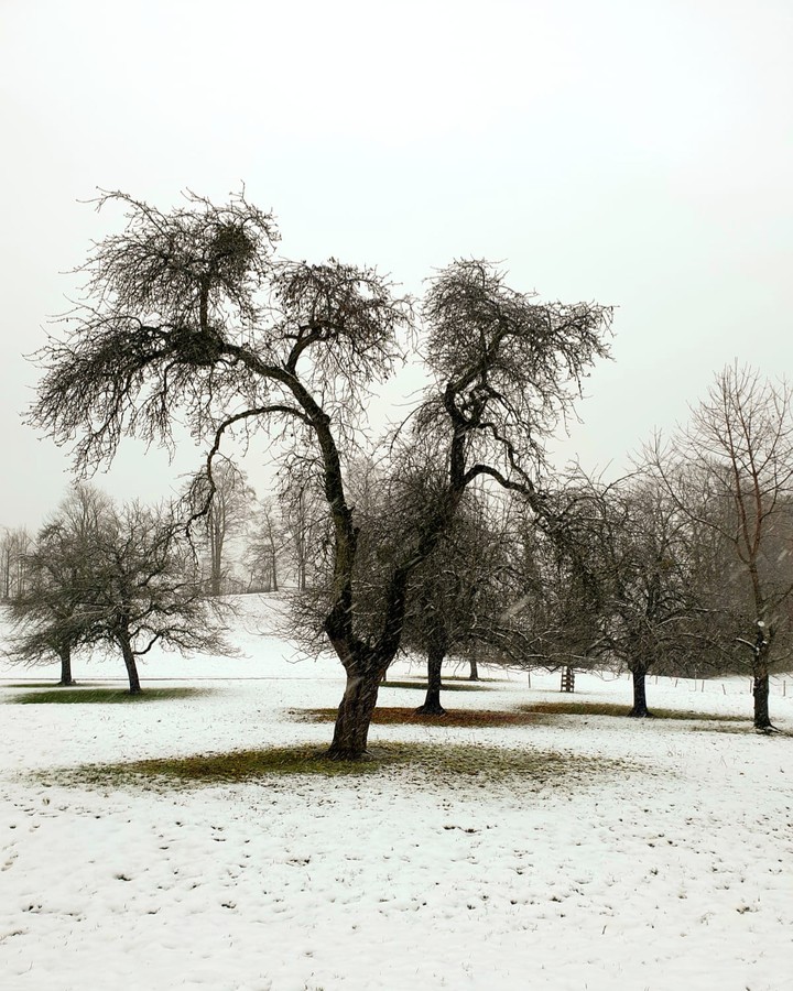 Winter