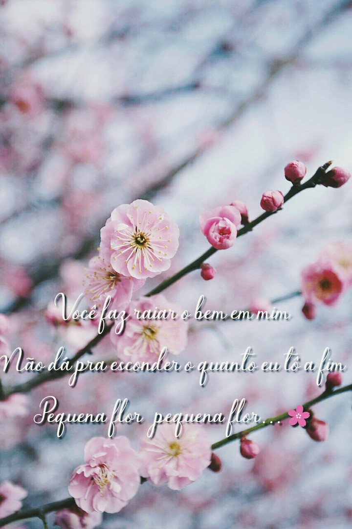 Pequena flor