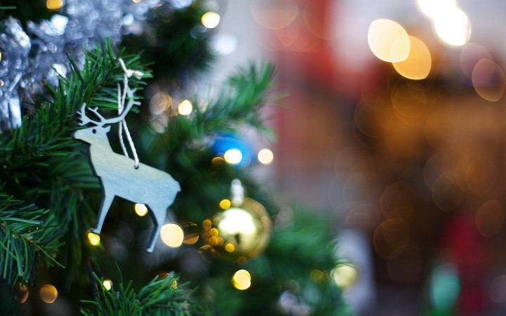 Holiday Toy Tree