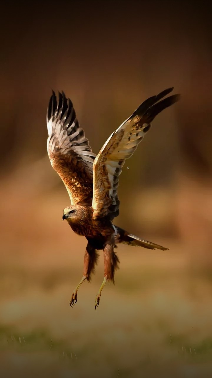 feel happy on hrd time n fly
