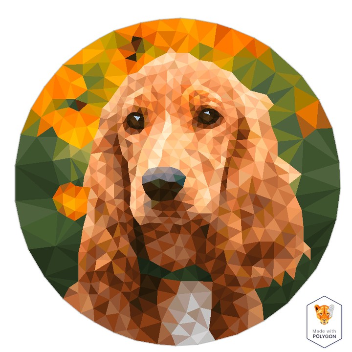 #polygonapp