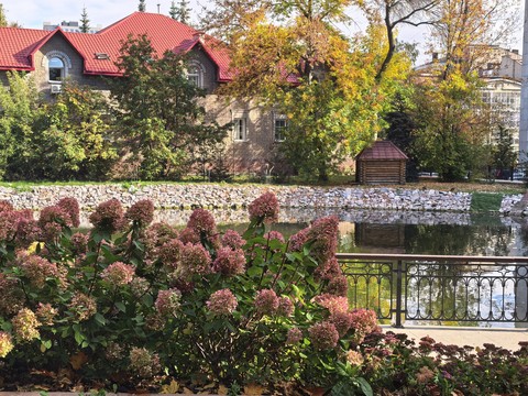 fondos de pantalla plants, landscaping