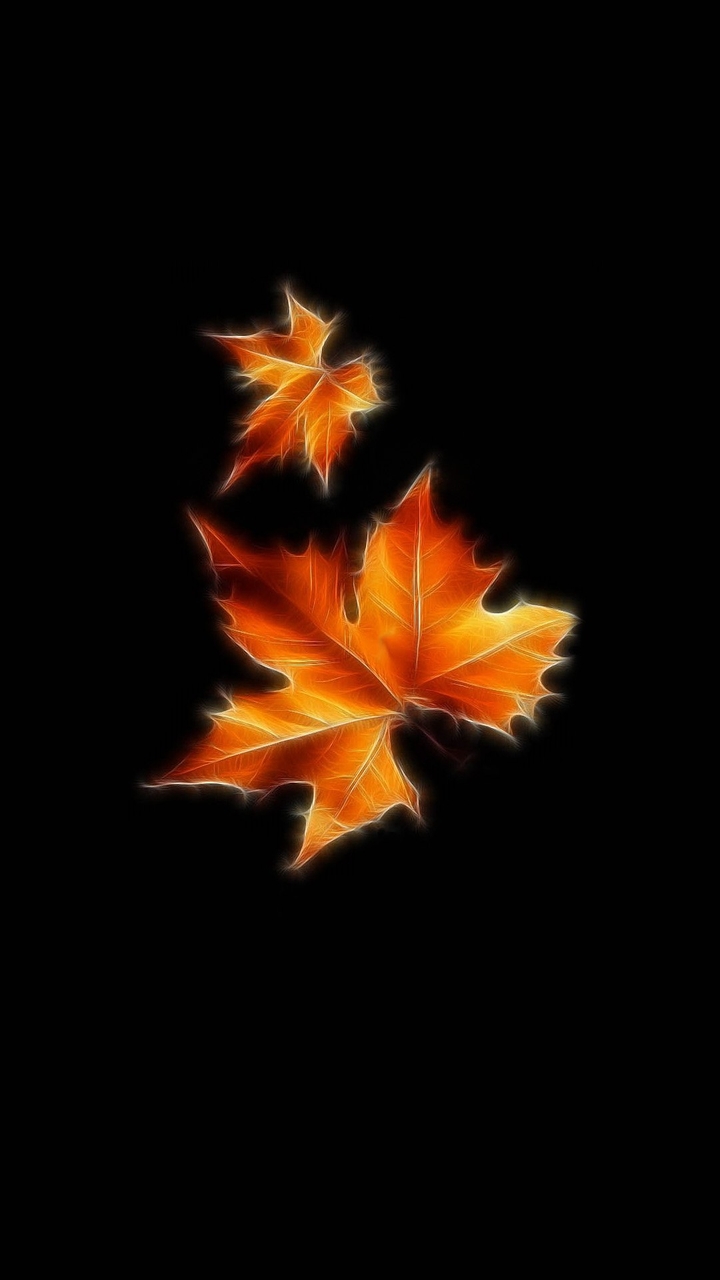 Autumn Leaf