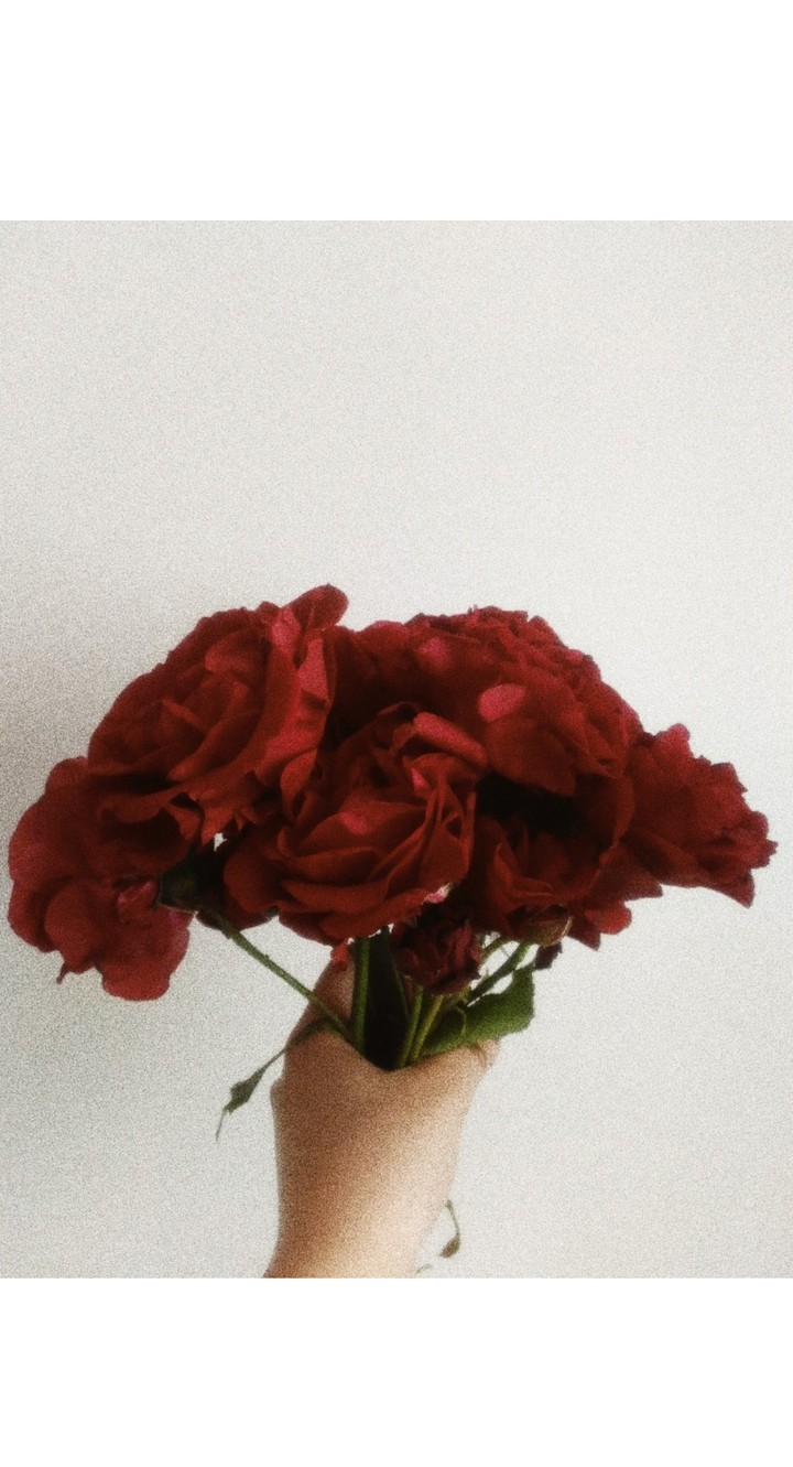 rose