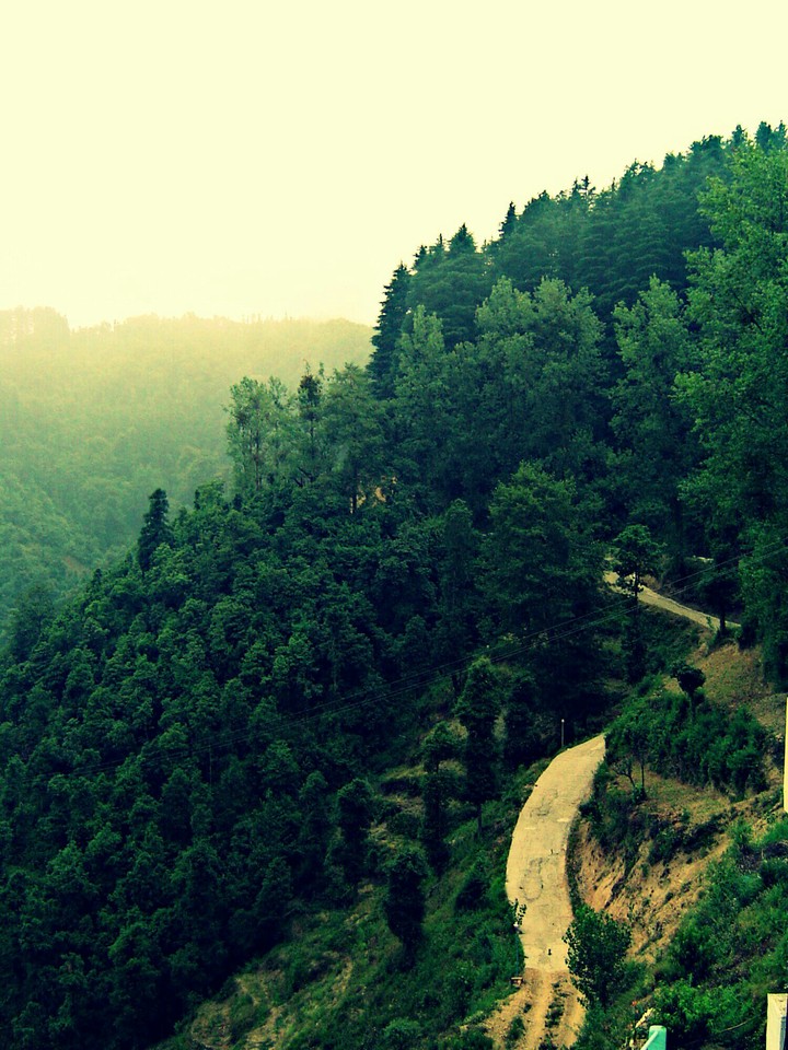 Nature's Trail