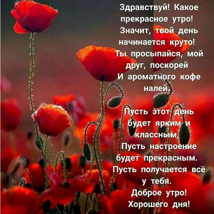 Цветы