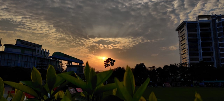 Daffodil International University