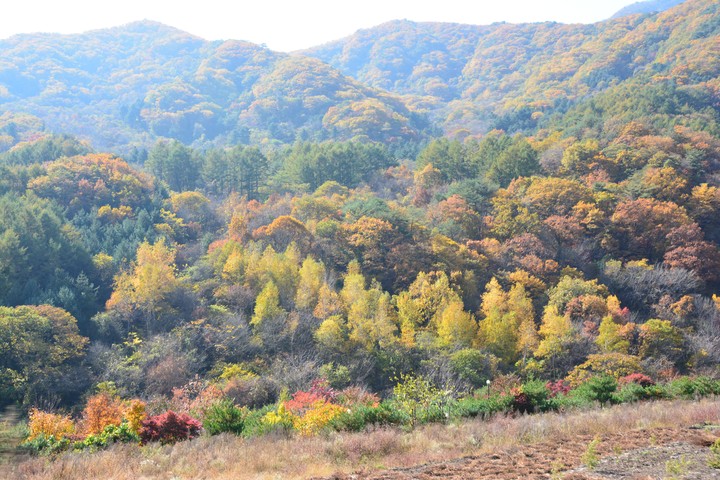 산이미지