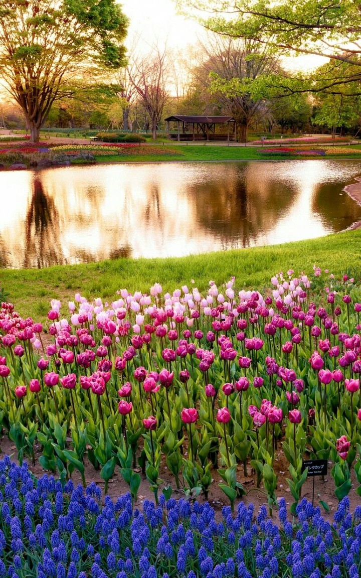 spring