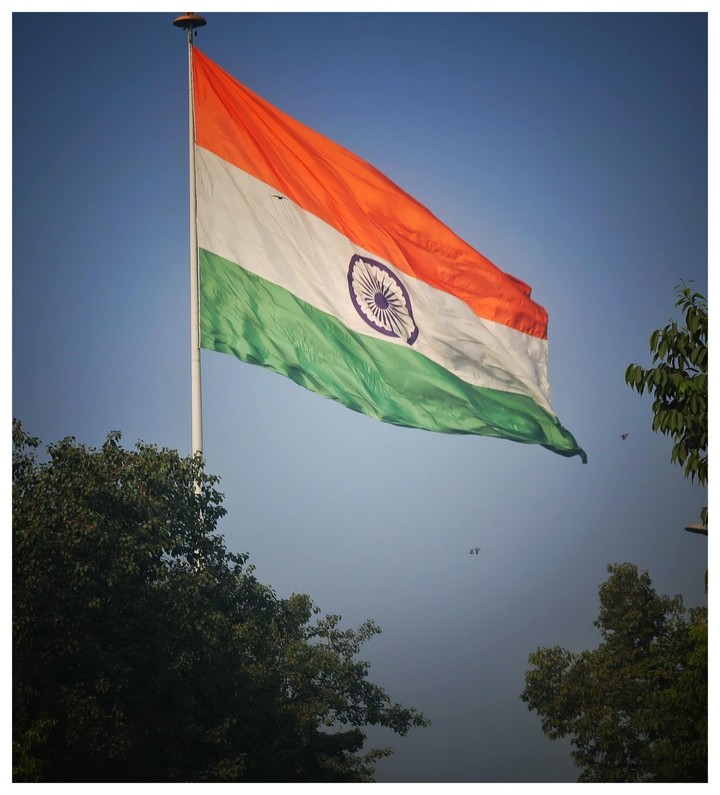 Indian National flag